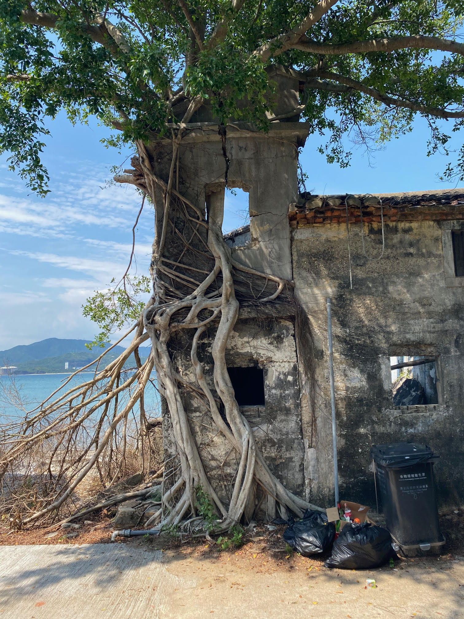 Verlaten huis verweven met de natuur